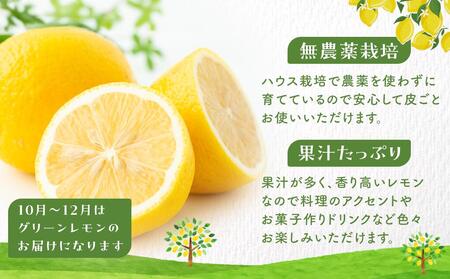 【20限定】皮まで美味しい無農薬レモン 約2kg