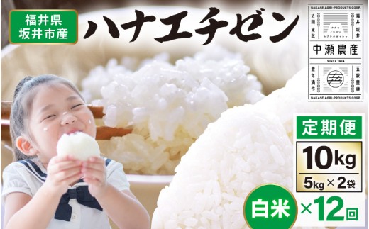 【先行予約】【令和8年産・新米】 定期便 ≪12ヶ月連続お届け≫坂井市産 ハナエチゼン 白米 10kg (5kg×2袋)×12回 計120kg (中瀬農産) 【2026年10月以降順次発送予定】 【米 こめ お米 精米 ブランド米 華越前 国産】 [O-20502]