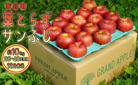 りんご 【 12月発送 】 家庭用 葉とらず サンふじ 約 10kg 【 弘前市産 青森りんご  果物類 林檎 リンゴ  】