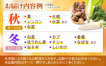 【全6回定期便】厳選！農夫のお野菜セット 旬の野菜 7品目以上 詰め合わせ 野菜セット 新鮮 食材 三次市/布野特産センター[APBA016]