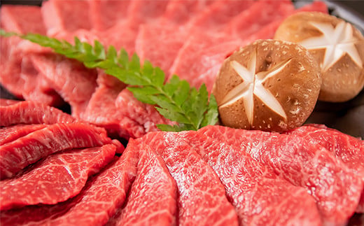 サイトーファームギフト券 6000円分（1000円×6枚）宮崎和牛 齋藤牛＜2-75＞牛肉 お食事 黒毛和牛 