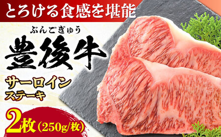 豊後牛 サーロインステーキ 500g (250g×2枚) / サーロイン ステーキ サーロイン 牛肉 サーロイン / MEAT PLUS[AREI007]