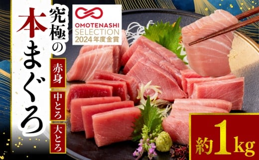 本マグロ 赤身 中トロ 大トロ 3種 セット 1kg