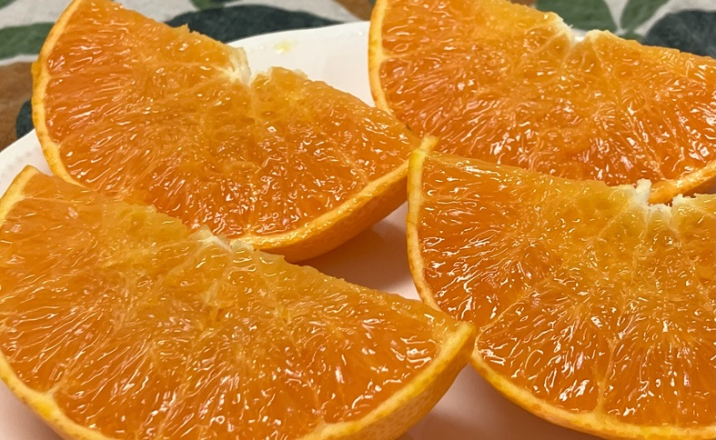 せとか 3kg 優品 12～15個 先行予約 レッスルファーム みかん 愛媛 数量限定 お取り寄せ おすすめ 美味しい おいしい グルメ フルーツ くだもの 愛媛県産 人気 柑橘 伊予市｜B258