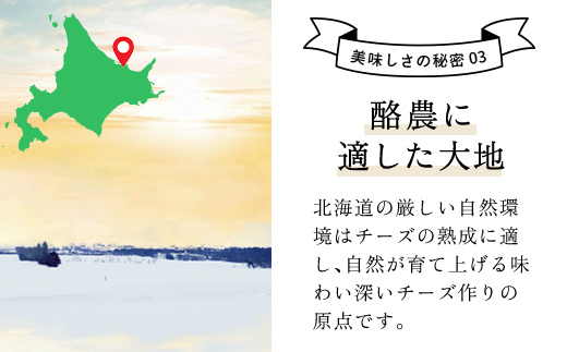 ひがしもこと乳酪館 チーズ食べ比べセット 6種 B（※旧チーズオールスターズお試しセット） OSA006