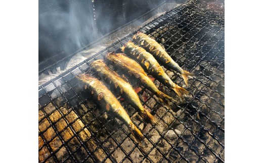 干物 焼いてあるひものセット 炭火焼 ４種 あじ かます さば いわし ヘルシー おつまみ ひもの ヒモノ 魚 鯖 サバ カマス 鯵 アジ