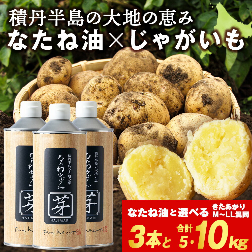 【ふるさと納税】【2025年秋発送予約】なたねあぶら 芽（はじまり）添加物不使用 (600g3本) × 積丹町産 きたあかり 選べる5kg・10kg セット北海道ふるさと納税 積丹町 ふるさと納税 北海道 菜種油 なたね油 油 無添加 調味料 野菜 じゃがいも ギフト 贈答品 贈り物
