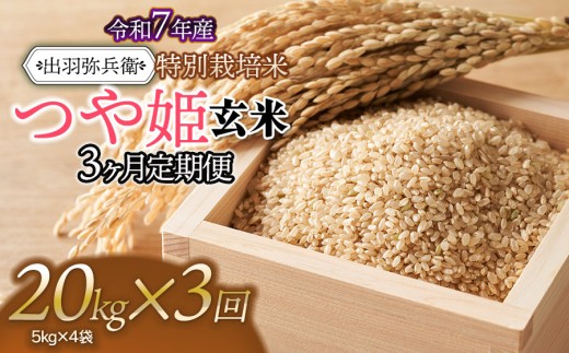 【令和7年産】【定期便3ヶ月】特別栽培米 つや姫 【玄米】 20kg（5kg×4袋）×3ヶ月　山形県鶴岡市産　出羽弥兵衛