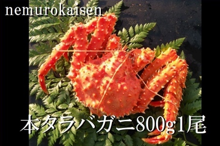 [12月21日決済分まで年内配送]【北海道根室産】本タラバガニ800g前後×1尾 C-57059