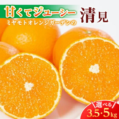 ミヤモトオレンジガーデンの「清見3.5kg」【C25-129】