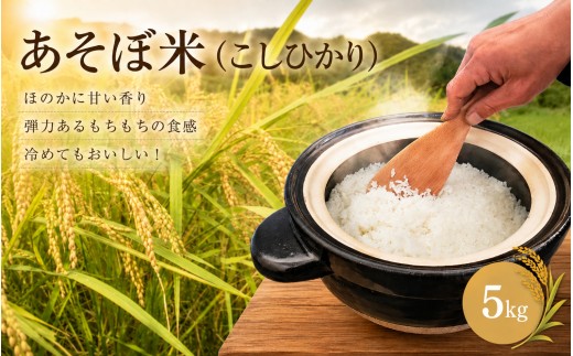 
                  【令和7年】あそぼ米（こしひかり） 5kg 白米 お米 減農薬栽培 熊野市【asit0004】
                