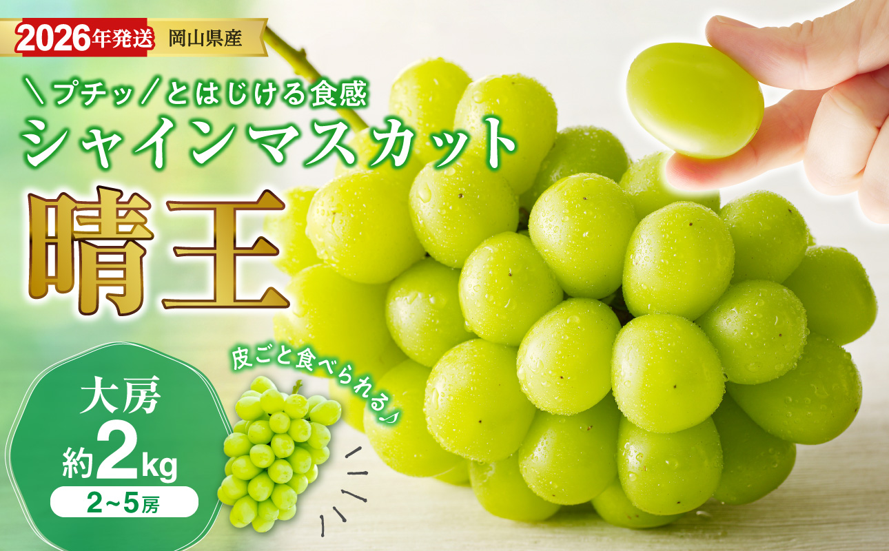 【2026年発送分】岡山県産シャインマスカット「晴王」秀品　大房　（約2kg・2～5房程度）（令和8年8月中旬～11月中旬頃発送）【 シャインマスカット 晴王 フルーツ 果物 くだもの 葡萄 ぶどう 岡山県産 秀品 大房 種無し 高糖度 】hz-s