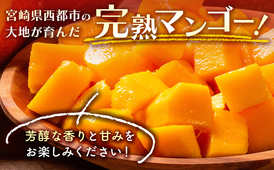 【先行予約】「訳あり」ご家庭用完熟マンゴー2kg（4玉～8玉）宮崎県西都市産＜2-95＞2026年発送 果物 くだもの フルーツ 宮崎県西都市