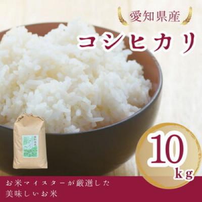 ふるさと納税 美浜町 愛知県産 コシヒカリ 10kg 愛知県 美浜町