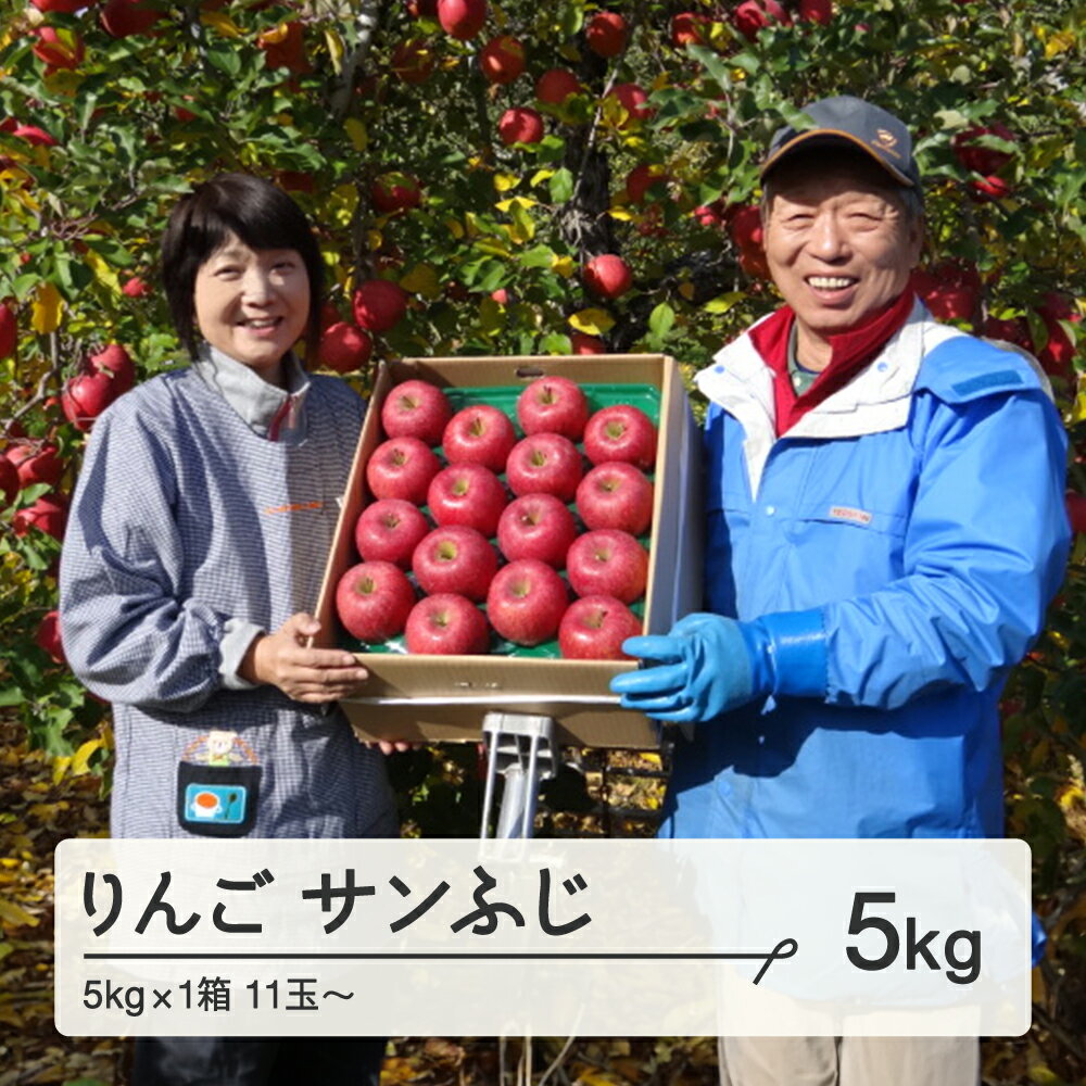 【ふるさと納税】《先行予約》2025年産 令和7年産 山形県 山辺町産 りんご サンふじ 約5kg(11~20玉) 果物 送料無料 ※沖縄・離島への配送不可 F20A-728