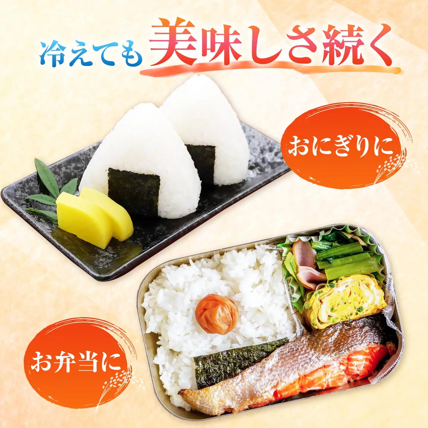 【6回定期便】あいちのかおり 白米 10kg×6か月 / 脇野コンバイン[AECP008]