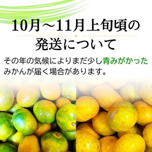 【2026年11月発送予約分】＼光センサー選別／農家直送 こだわりの完熟有田みかん 約10kg＋150g(傷み補償分) 【ご家庭用】 【11月発送】有機質肥料100% 有田みかん みかん ミカン 蜜柑