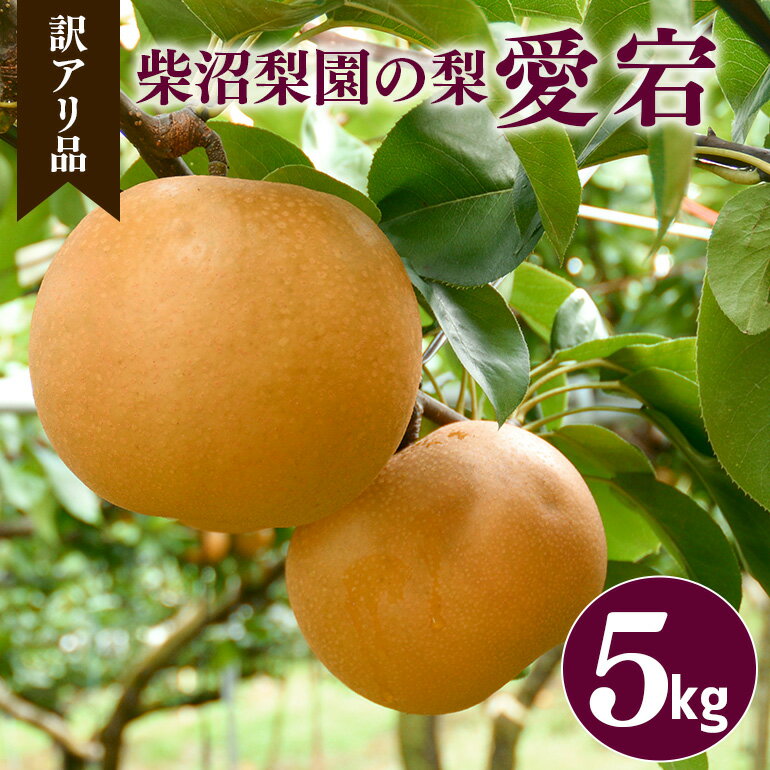 【ふるさと納税】【 訳あり 】柴沼梨園の梨（ 愛宕 ） 梨 5kg 大玉 6～14個入り 訳アリ 不揃い ナシ なし 国産 茨城 新高梨 秋 旬 フルーツ 果物 先行予約 【9月下旬～10月上旬発送】 秋の味覚 旬の果物 くだもの 大きい サイズ 品種 産地 茨城県産 家庭用 産地直送 送料無料