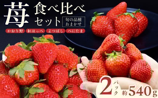 いちご 厳選いちご 2種類 食べ比べセット 1箱(270g×2) 2月発送 かおり野 紅ほっぺ よつぼし べにたま | いちご 苺 ストロベリー かおり野 紅ほっぺ よつぼし べにたま 季節限定 食べ比べ 果物 くだもの フルーツ 野菜 美味しい おいしい 甘み ほのかな酸味 デザート スイーツ ギフト 贈り物 ビタミン 埼玉県 久喜市