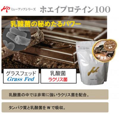 ふるさと納税 茨木市 プロテイン100　ワイルドフィット　チョコレート風味 |  | 01