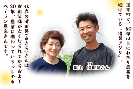 『清晃アグリ』のご家庭用ポンカン 約4kg(M-3Lサイズ)《12月中旬-1月中旬頃出荷》予約受付中 フルーツ 秋 旬 少し青くても甘くてジューシー♪熊本県玉名郡玉東町