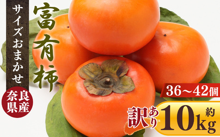 【 訳あり 】 富有柿 10kg 箱 サイズおまかせ（ 36個 ～ 42個 ）| 柿 大容量 わけあり 熊代農園 | 奈良県 五條市