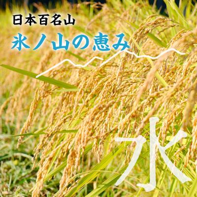 ふるさと納税 八頭町 【令和7年度産米】きぬむすめ5kg |  | 03