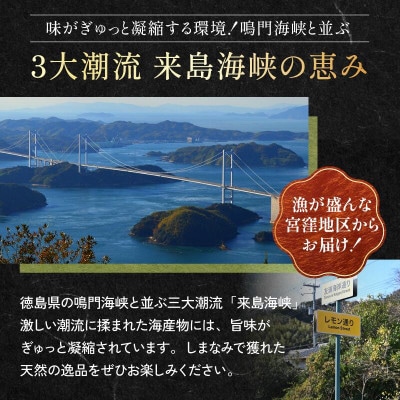 【村上水産】今治産しまなみわかめ 2袋セット [V002520SET2]【1701958】