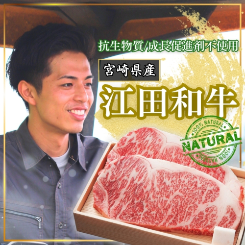 厳選 江田和牛 サーロインステーキ 600gセット(200g×3枚) 日本一のブランド牛「宮崎牛」 [希少 国産 黒毛和牛 冷凍 ギフト A5 牛肉 お肉 宮崎県 ワンストップオンライン対応] TF0695-P00051