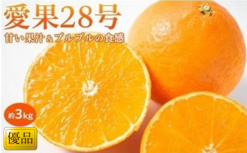 
            【11月中旬から発送】 愛果28号＜優品＞約3kg あいか みかん ミカン オレンジ 贈答 ギフト プレゼント 高級 柑橘 松山 愛媛県【先行予約】 
          