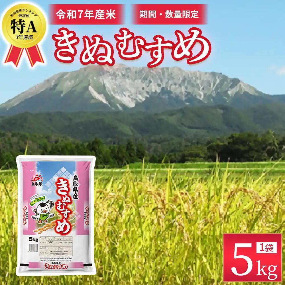 ※通常発送【数量限定】【令和7年産米】鳥取県産 きぬむすめ （5kg） 精米 米 白米
