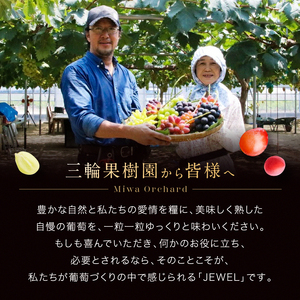 ぶどう 先行予約 ジュエルボックス 葡萄 4～5品種 詰合せ 約2kg ブドウ 葡萄 ぶどう