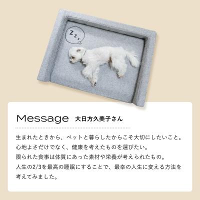 ふるさと納税 玖珠町 NOMIN ペットベッド 大日方久美子コラボ グレー |  | 02