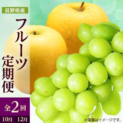 ふるさと納税 中野市 【発送月固定定期便】2026年発送 長野の果物 シャインマスカット+シナノゴールド全2回