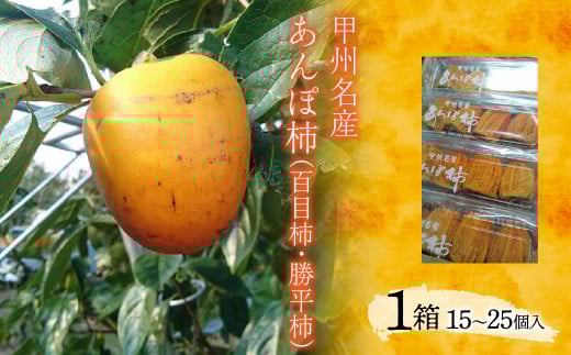 ＜2026年発送先行予約＞甲州名産　あんぽ柿(百目柿・勝平柿)　ALPCM007　/  かき　カキ　柿　百目柿　勝平柿　あんぽ柿　山梨県　山梨