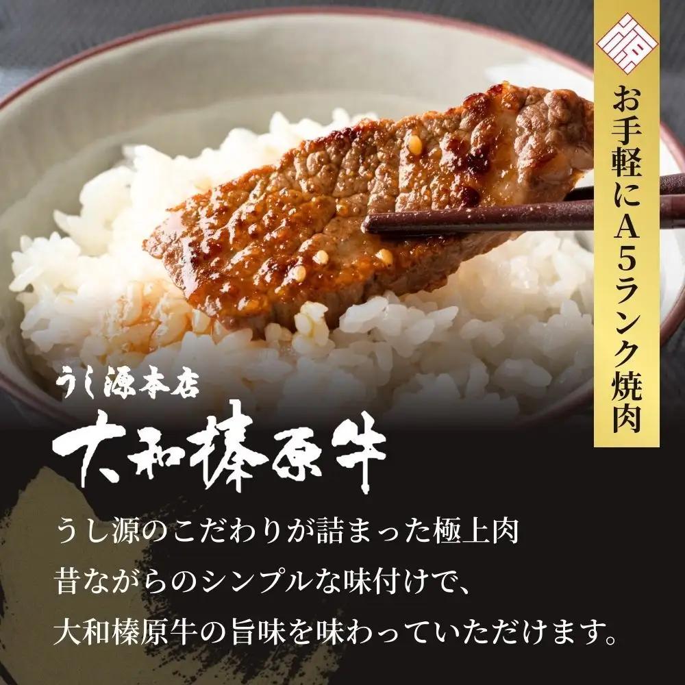 【ふるなびWEEK対象】(冷凍) 大和榛原牛 たれ漬け ／ 黒毛和牛 A5ランク 味付き 野菜炒め 時短レシピ 焼肉 BBQ バーベキュー キャンプ アウトドア 父の日 母の日 手土産 お中元 暑中見