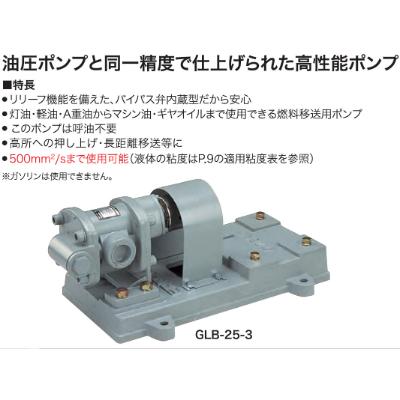 ふるさと納税 長岡京市 オイル用ギヤーポンプ　GLB-25-3　GLポンプ　口径25ミリ　 |  | 01