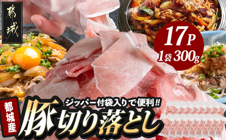 【2026年2月お届け】宮崎県産豚切り落とし5.1kg(ジッパー付袋入り)_18-1507-2602