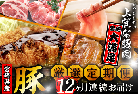 《期間・数量限定》厳選!宮崎県産豚 定期便 Sコース 《2024年3月から毎月お届け!》 全12回 |豚肉 豚 ぶた 肉 国産 バラブロック 切り落とし ロース しゃぶしゃぶ バラ 焼肉 ロースカツ