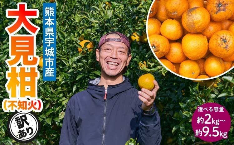 
            先行予約 熊本大見柑 (不知火) 訳あり 【選べる容量】 2kg (6～13玉) または 4.5kg (13～24玉) または 9.5kg (25～50玉) 【2026年2月上旬～2月下旬頃発送予定】 しらぬい みかん 蜜柑 柑橘 国産 九州 熊本 宇城市産 【株式会社la Nui.】
          