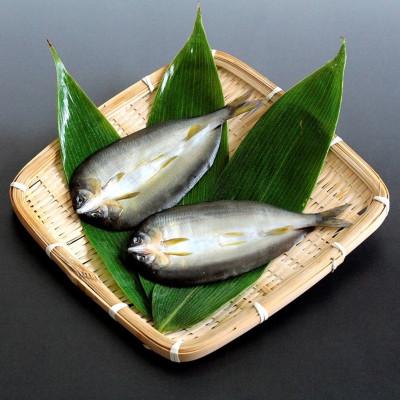 ふるさと納税 長浜市 びわこ生まれの鮎　一夜干し　20枚(2尾/パック)無添加　背骨なし |  | 01