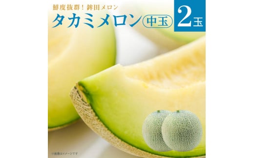 メロン めろん 中玉【タカミメロン】緑肉　2玉入り(3kg～5kg) ギフト 鉾田 果物 人気 おすすめ 贈答 茨城 お返し 先行予約 スイーツ 送料無料 味 茨城県 還元率 青肉 フルーツ めろん 鉾田市 デザート くだもの お取り寄せ 甘い ジューシー 期間限定