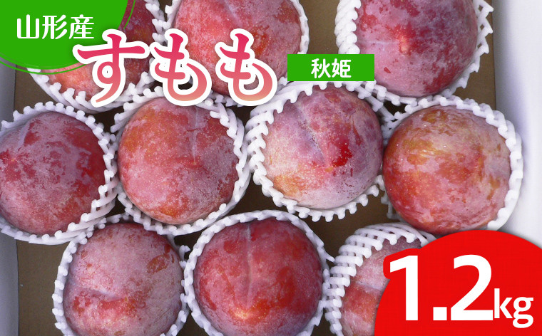 
            山形市産 すもも(秋姫) 1.2kg(7～12玉） 【令和7年産先行予約】FU22-026 くだもの 果物 フルーツ 山形 山形県 山形市 2025年産
          