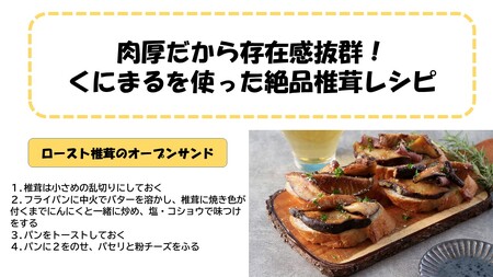 2547R_国東の厳選肉厚カップ乾し椎茸 くにまる 特大1・小2