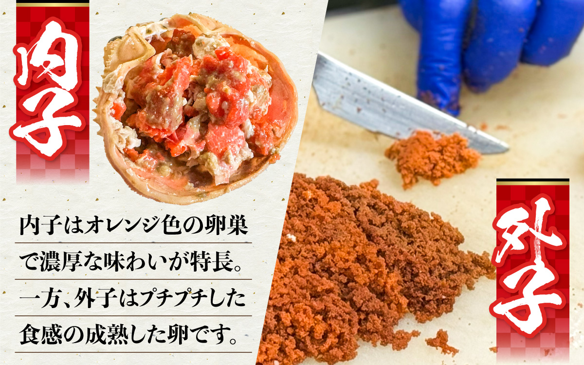 セコガニ 甲羅盛り 2個 ／ 釜茹で むき身 かにみそ カニ味噌 蟹 カニ ほぐし身 ズワイガニ セイコガニ 松葉ガニ せいこがに かに 個包装 兵庫県産 兵庫県 浜坂産 水揚げ かに解禁 おつまみ 