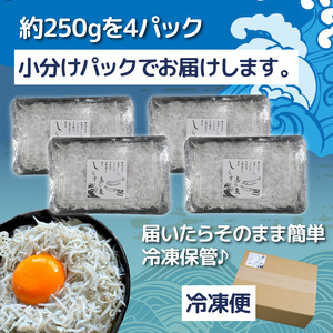 釜揚げ しらす 約1kg 【 しらす 】