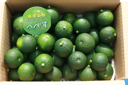 へべす 柑橘 【2024年8月～10月発送予定】ふぞろいへべす ひなたGAP認定 5kg [へべすの悠美園 宮崎県 日向市 452060277] 先行予約 期間限定 数量限定 果汁 香酸柑橘 調味料 