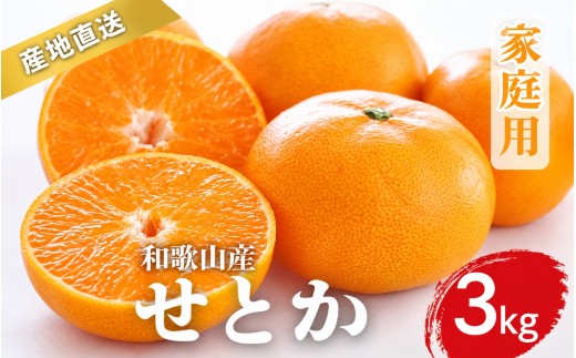 
                  【先行予約】家庭用 せとか 和歌山 有田 S～4Lサイズ 大きさお任せ 3kg【2月上旬～3月下旬頃に順次発送】/ みかん フルーツ 果物 くだもの 蜜柑 柑橘【ktn014A】
                