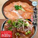 【ふるさと納税】土佐の海鮮漬け丼（サーモン・まぐろ）各10袋セット 1パック60g 漬け丼 海鮮丼 マグロ丼 サーモン丼 鮪 まぐろ おかず おつまみ 惣菜 魚 魚介類 海鮮 個包装 小分け 真空パック 簡単 お取り寄せ 冷凍 配送 故郷納税 ふるさとのうぜい 返礼品 高知県 土佐市