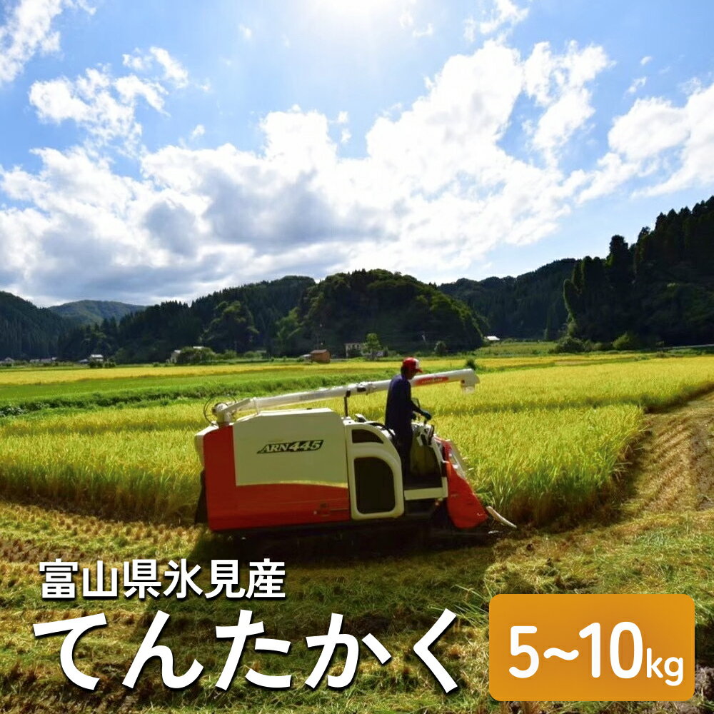 【ふるさと納税】＜先行予約＞令和7年産 富山県氷見産 てんたかく 数量 ・ 種類が 選べる 5kg or 10kg 玄米 白米 無洗米 ＜2025年9月以降順次発送＞